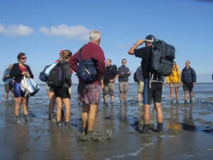 Activities in North Sea Island